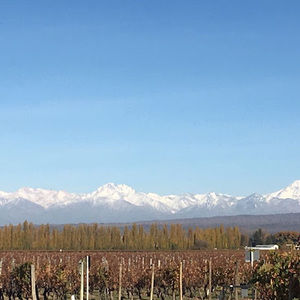 Meet your Posher, Saby